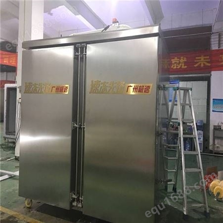 JSGS辽宁葡萄液氮冷冻技术 食品速冻机生产厂家