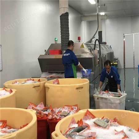上海泰国榴莲制冷设备 食品速冻机服务