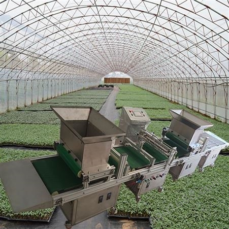 农场 自动化穴盘育苗播种机 流水线 半自动蔬菜穴盘育苗机 应用大趋势
