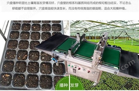 自动蔬菜穴盘育苗播种机 穴盘育苗点种机 取种准确 价格低工厂直接让利客户