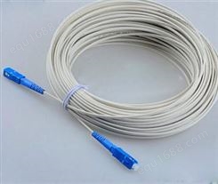SC-SC20米皮线光纤跳线