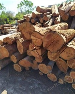韶关硬杂木价格 大量硬杂木供应,硬杂木价格
