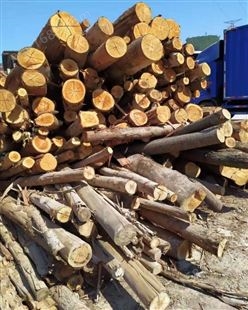 韶关硬杂木价格 大量硬杂木供应,硬杂木价格