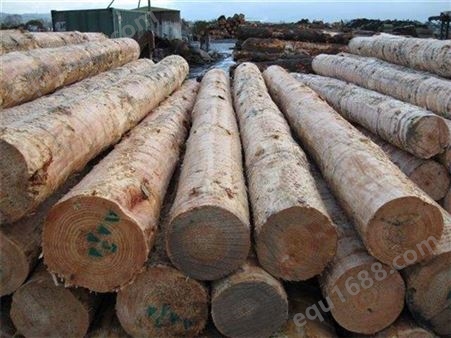 松木供应   天然实松木条  松木供应商