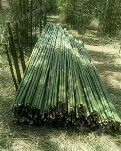 竹片 排山竹批发 竹条