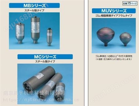 原装日本NOK氮气储压罐AL300-5-30/T06E