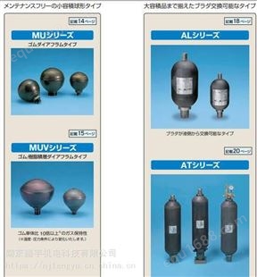 原装日本NOK氮气储压罐AL300-5-30/T06E