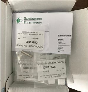 SchonbuchElectronic,电感传感器,ICAA0808