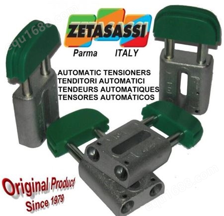 意大利ZETASASSI张紧器TO1O12D线性自动链条TO1