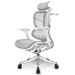 Ergomax Evolution电脑椅家用人体工学椅电竞游戏椅老板椅办公椅