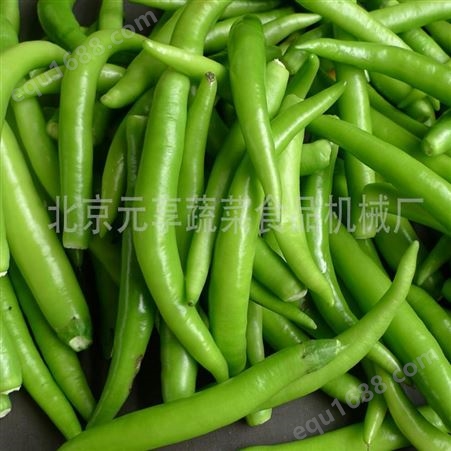 北京翻箱清洗机-蔬菜清洗机-元享机械