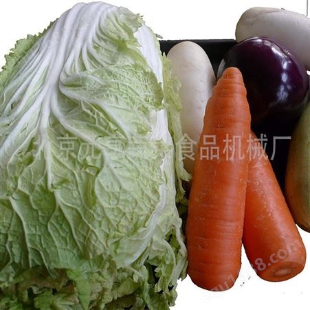酸豆角切菜机制造商 输送带蔬菜加工切丁机 千页豆腐切菜机-元享机械
