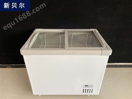 家用小冷柜小型立式 小型立式大容量商用 冷藏冷冻保鲜两用冰柜