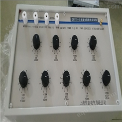ZX119-4绝缘电阻表检定装置