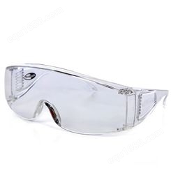 霍尼韦尔Honeywell 100001 VisiOTG-A透明镜片访客眼镜