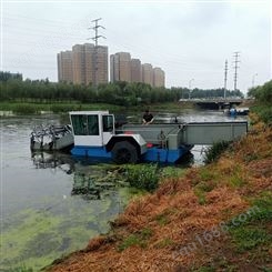 新疆芦苇收割船 前收后卸式水草清洁设备 水葫芦打捞船圣城生产