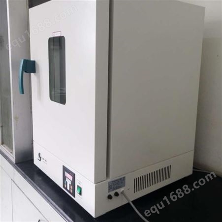 上海精宏鼓风干燥箱价格 DHG-9240A电热恒温鼓风干燥箱